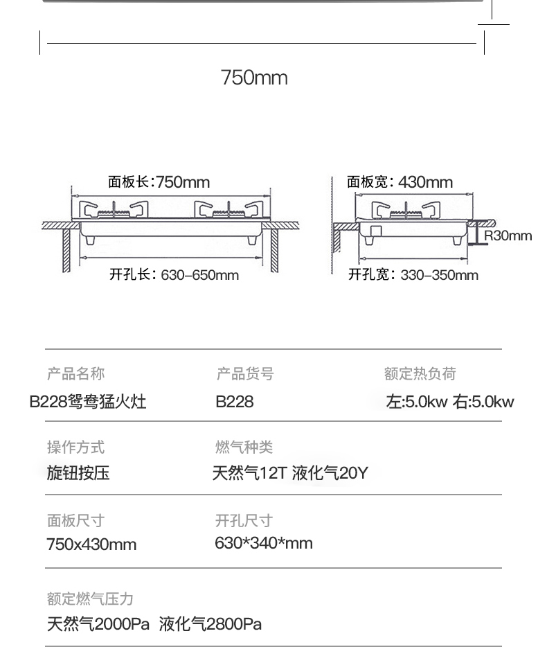 B228灶具-拷貝_13_09.jpg